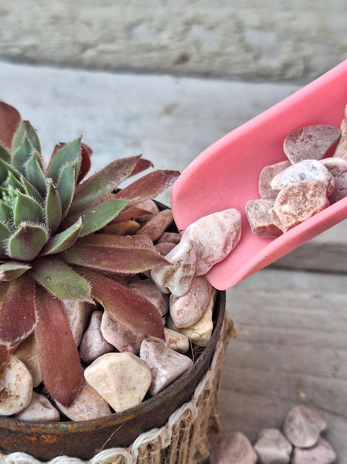 Peachy-pink crushed stone top dressing