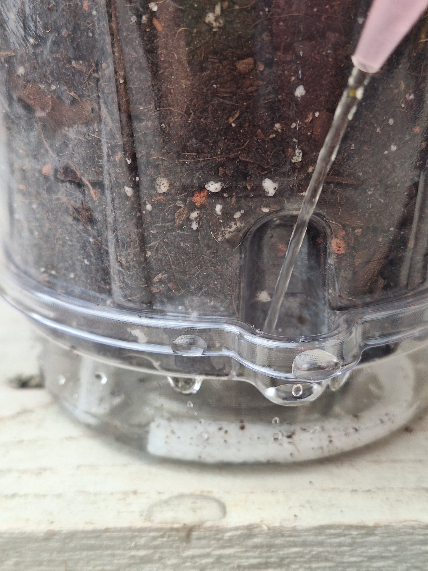 Recovery Kit with Self-Watering Pot and Soil, Perfect for Cuttings