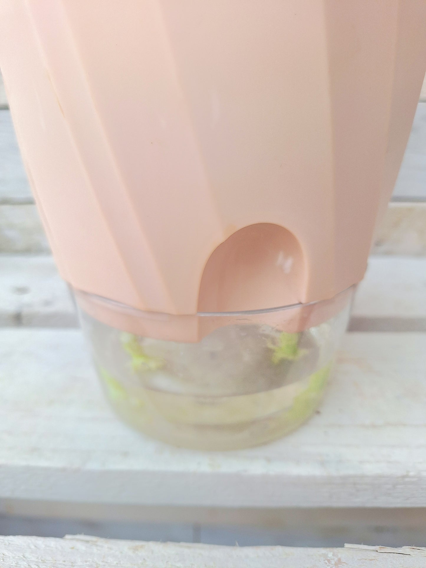 Large Self Watering Pot with clear reservoir