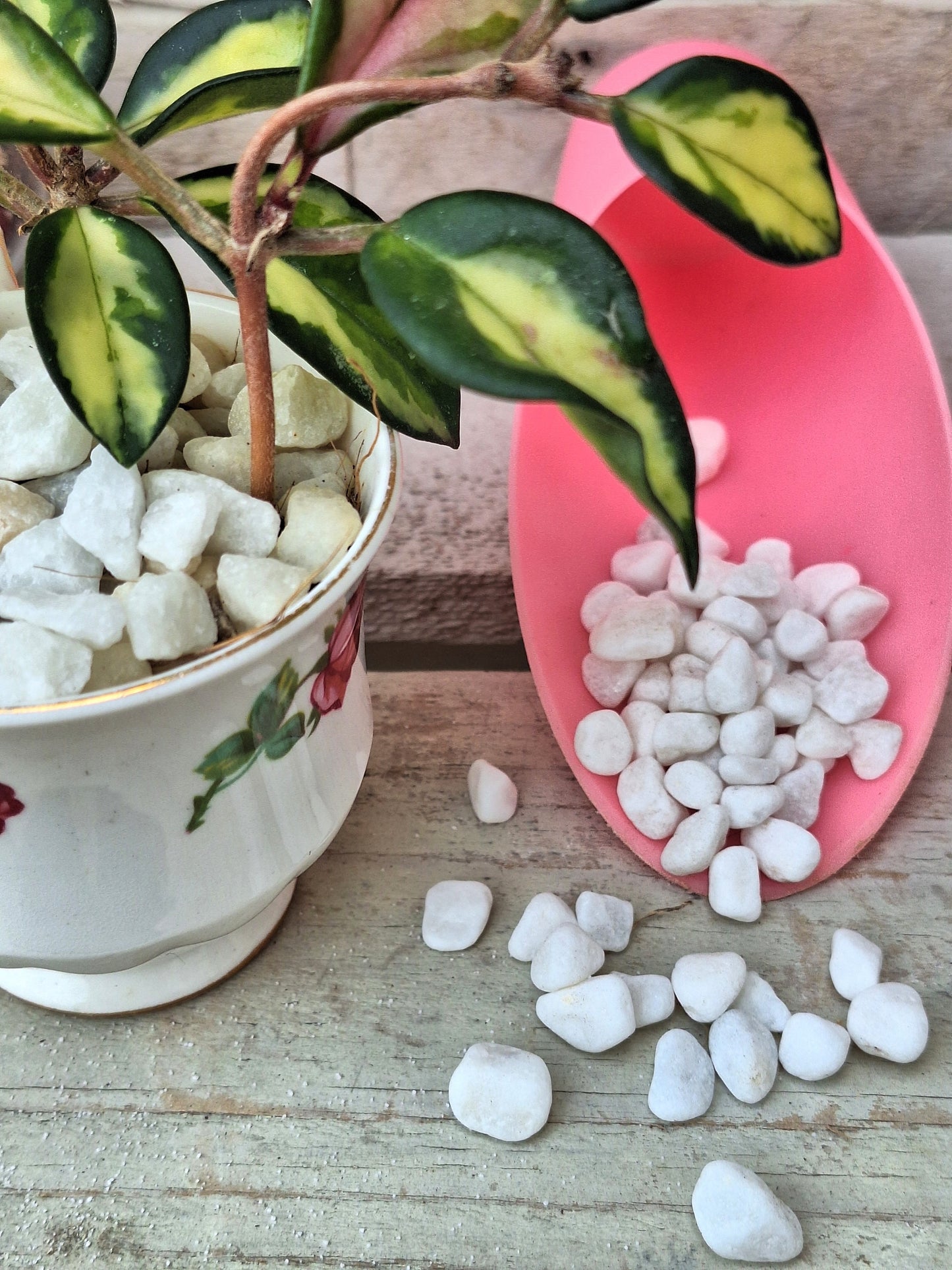 White pebbles