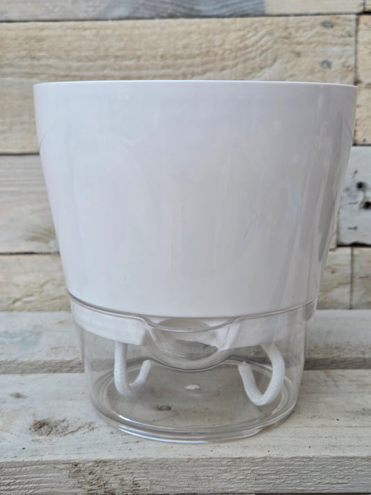 White Self-Watering Plant Pot – Clear Base 15cm x 15.5cm