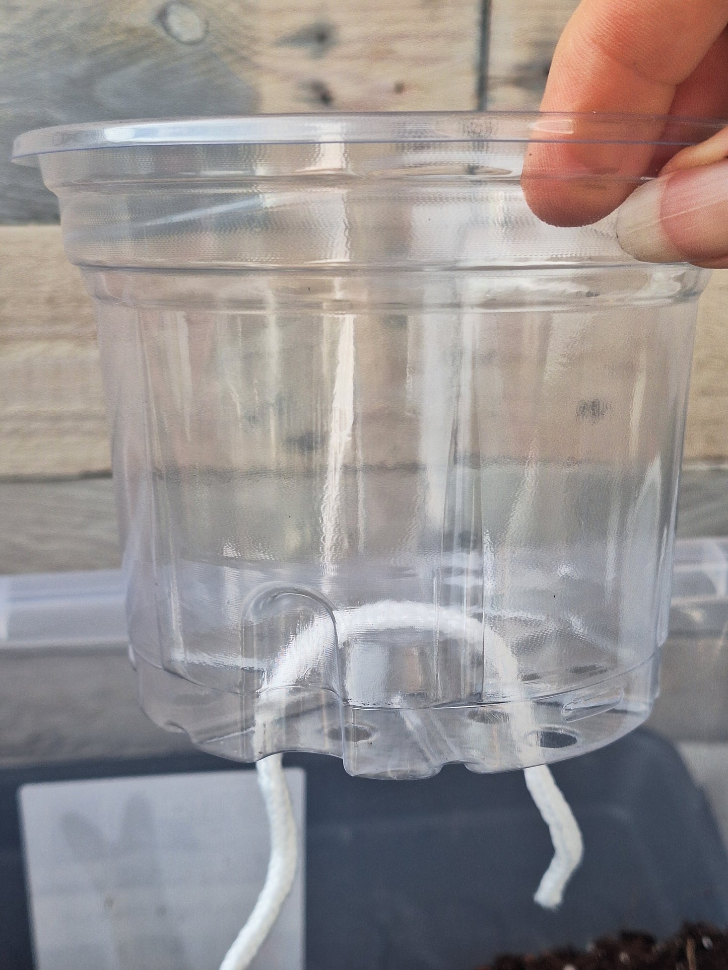Clear Self-Watering Nursery Pot – 12cm x 11.5cm with 3cm Water Reservoir