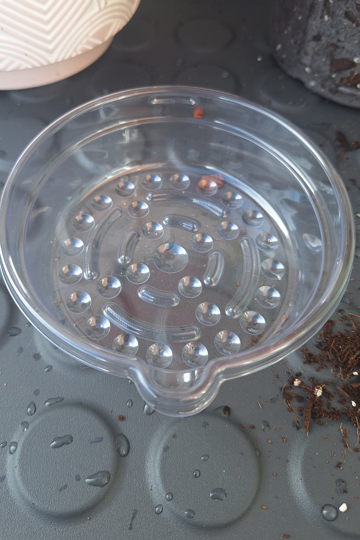 Clear Self-Watering Nursery Pot – 12cm x 11.5cm with 3cm Water Reservoir
