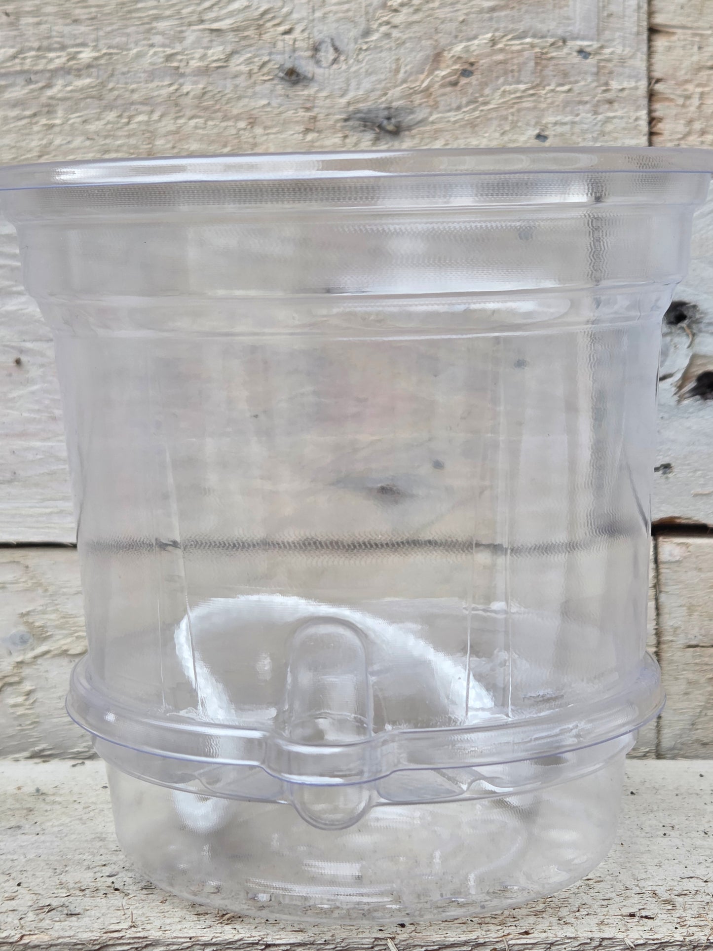 Clear Self-Watering Nursery Pot – 12cm x 11.5cm with 3cm Water Reservoir