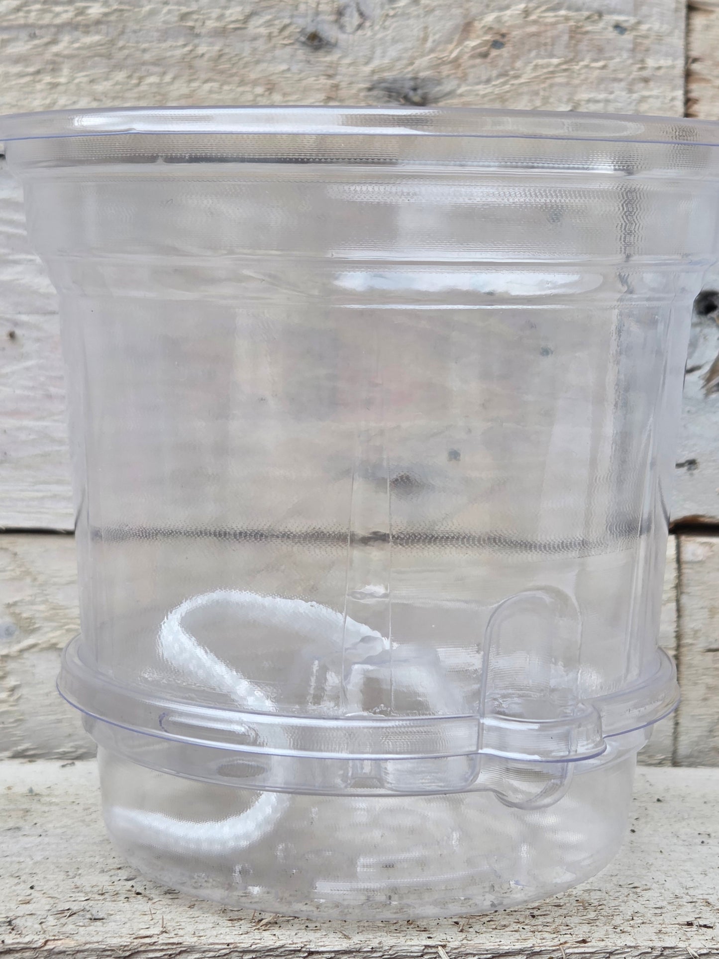 Clear Self-Watering Nursery Pot – 12cm x 11.5cm with 3cm Water Reservoir