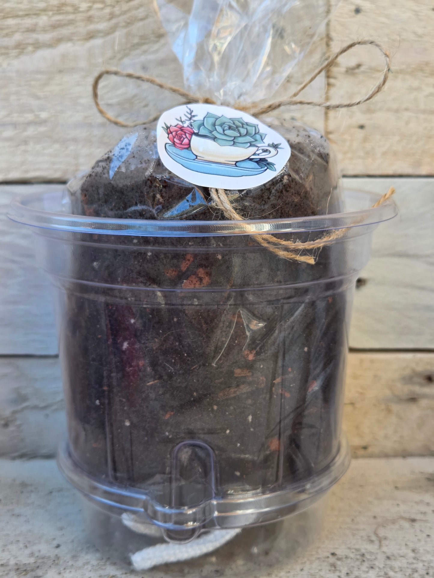 Recovery Kit with Self-Watering Pot and Soil, Perfect for Cuttings