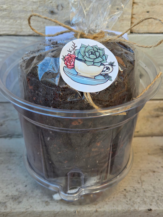 Recovery Kit with Self-Watering Pot and Soil, Perfect for Cuttings
