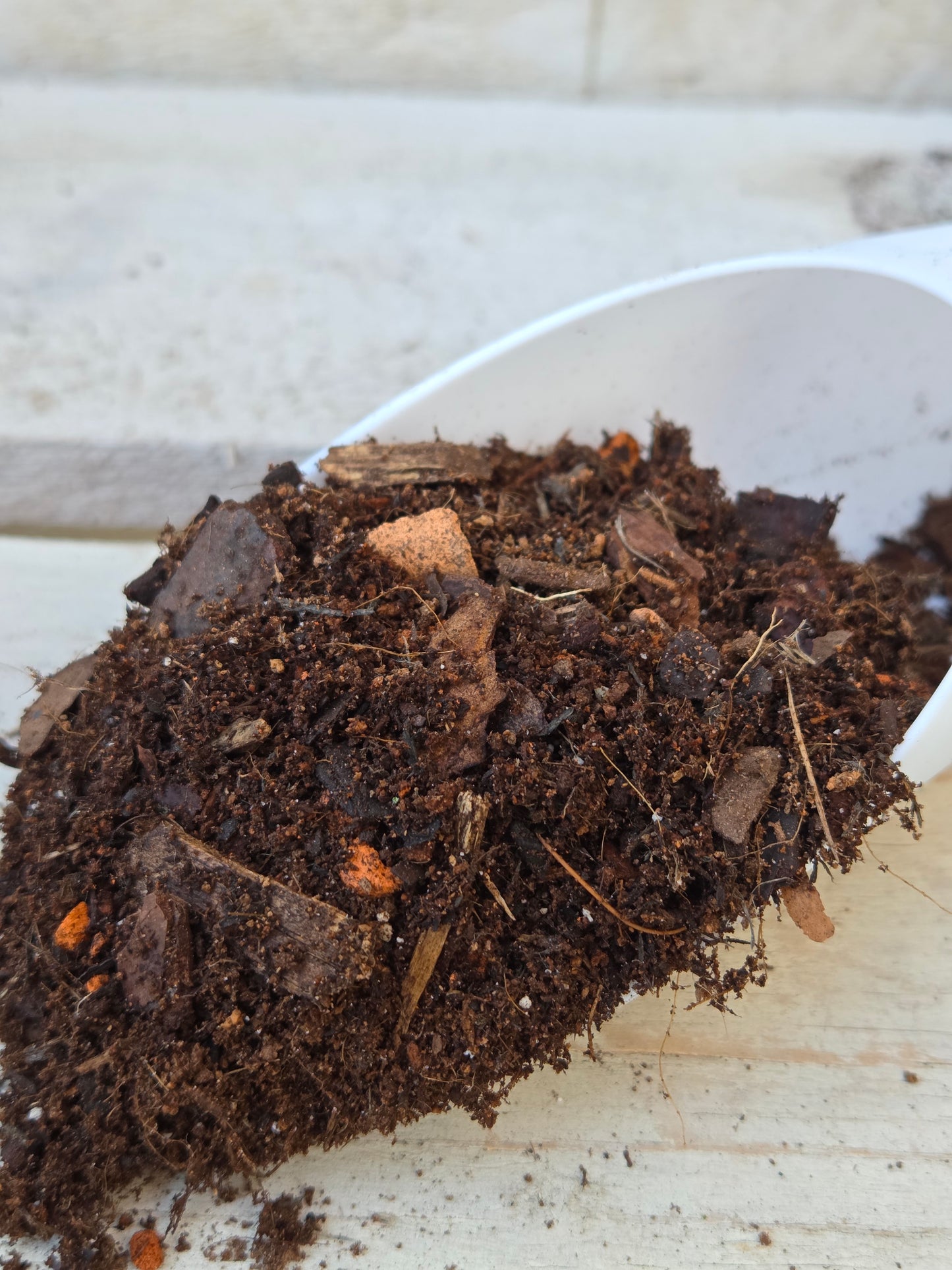 Recovery Kit with Self-Watering Pot and Soil, Perfect for Cuttings