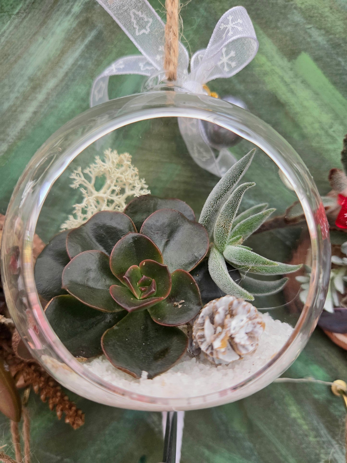 Succulent Glass Bauble – A Living Winter Gift