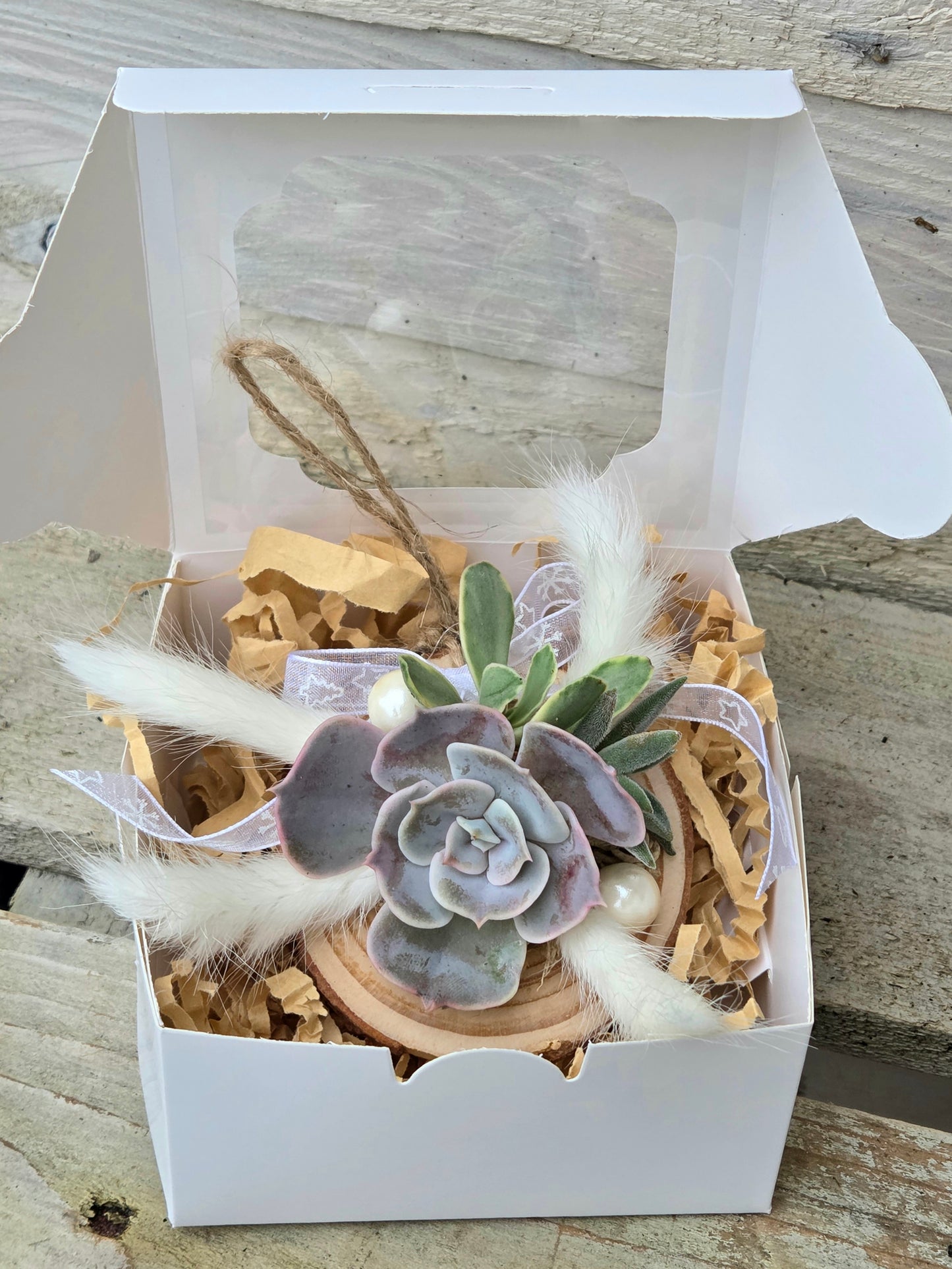 Succulent Christmas Decoration – A Living Gift in Festive Gift Box