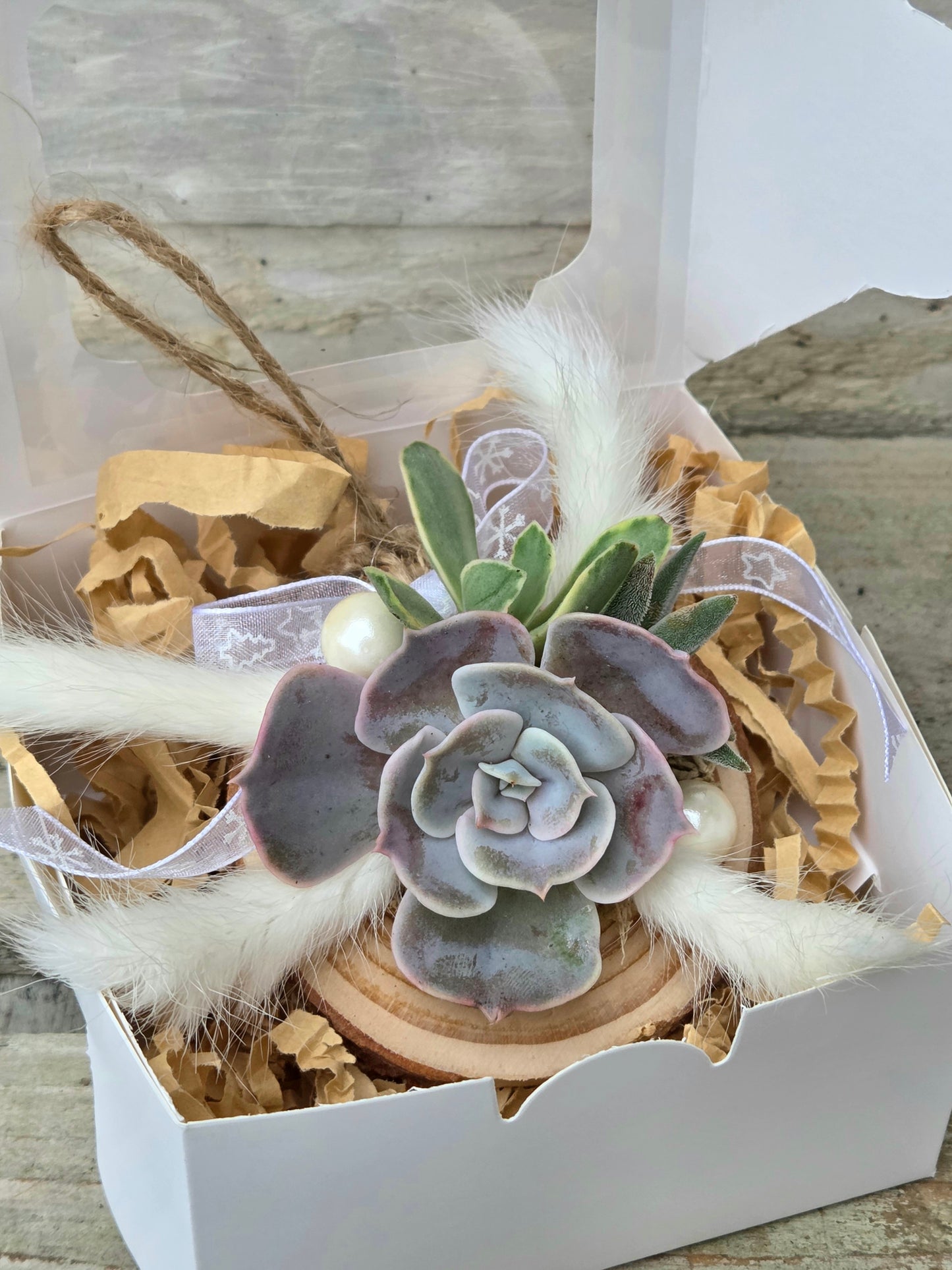 Succulent Christmas Decoration – A Living Gift in Festive Gift Box