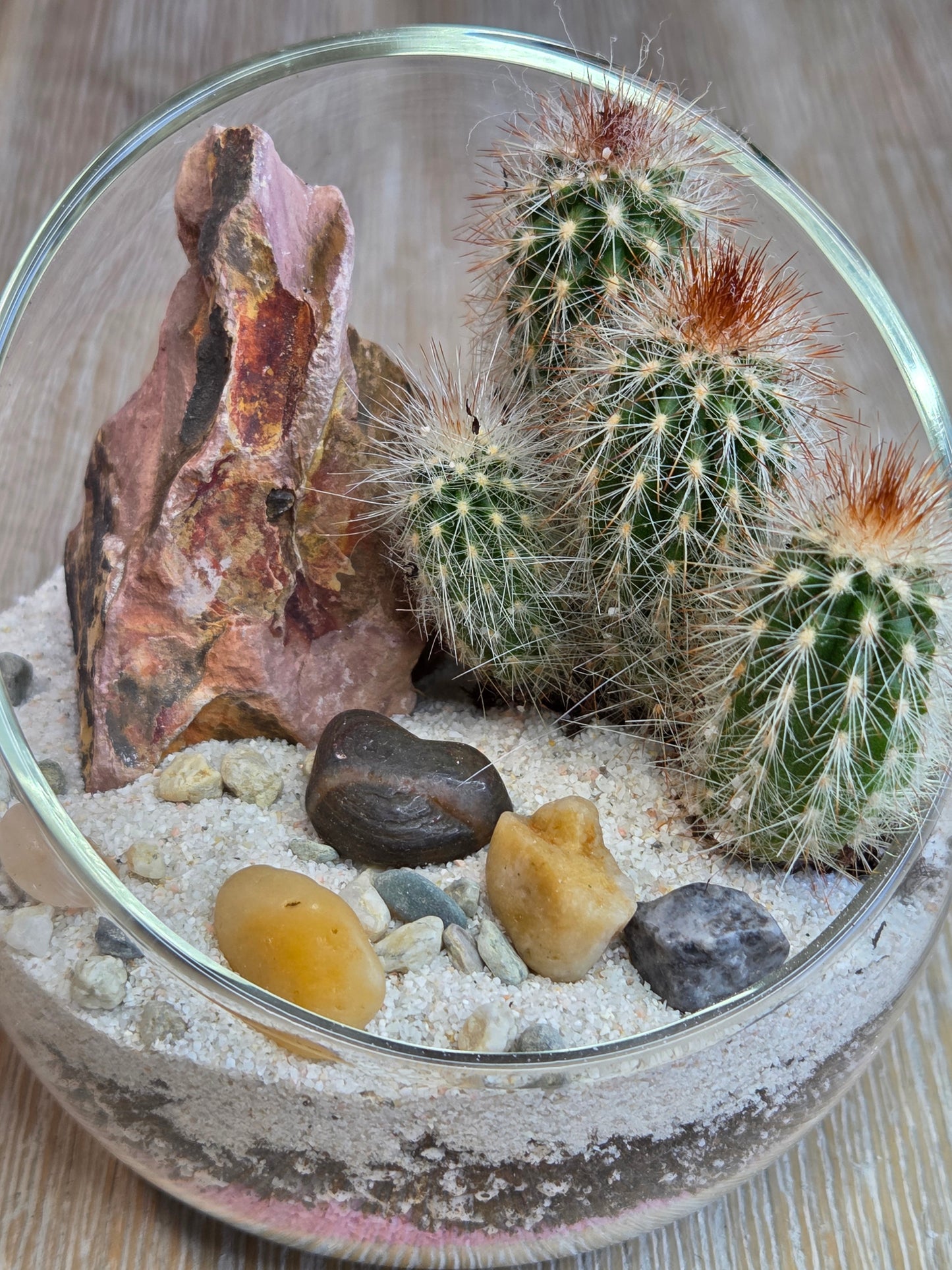 DIY Mini Glass  Cactus Terrarium Kit