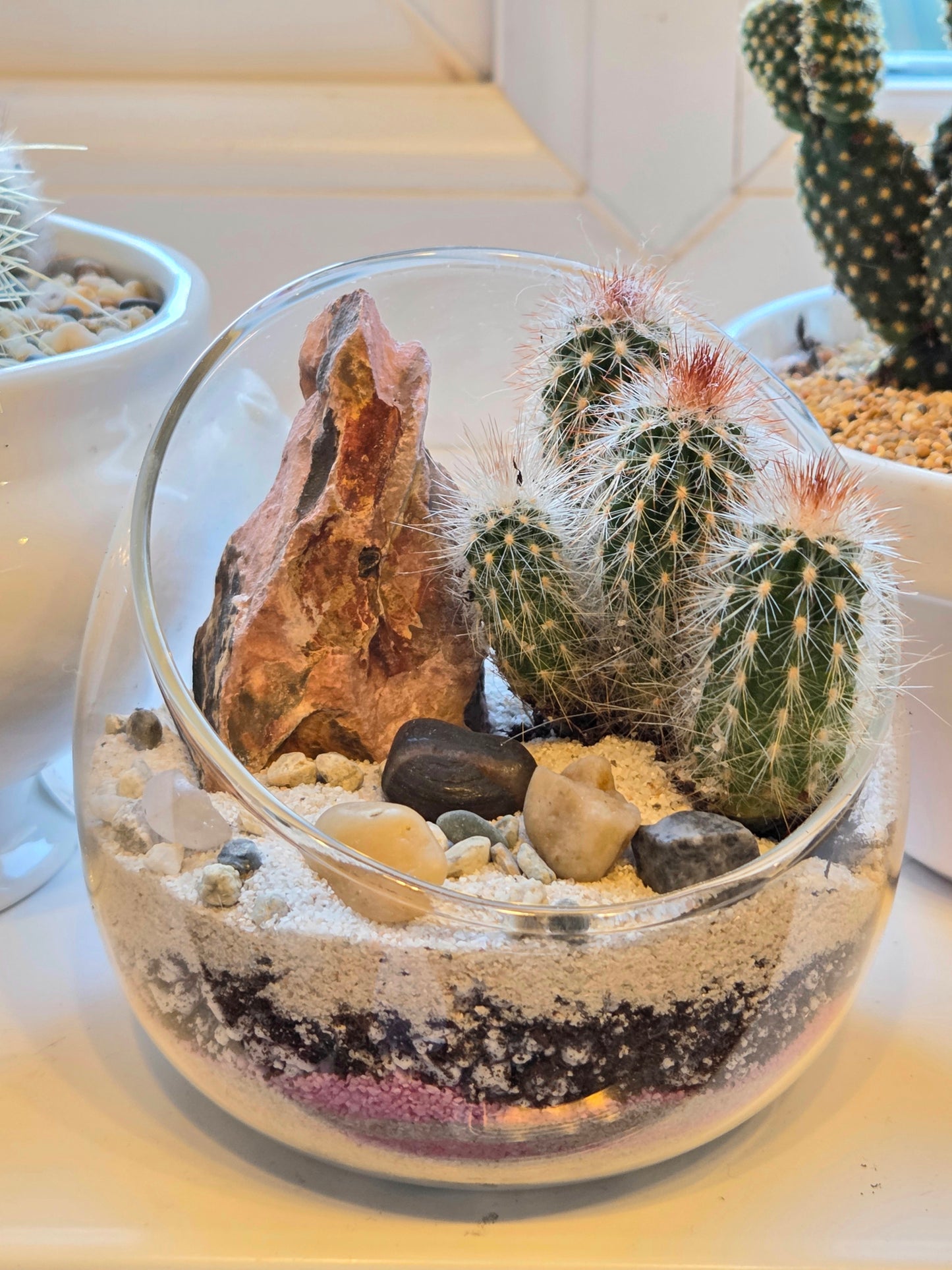 DIY Mini Glass  Cactus Terrarium Kit